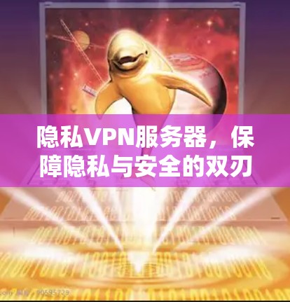 隐私VPN服务器，保障隐私与安全的双刃剑