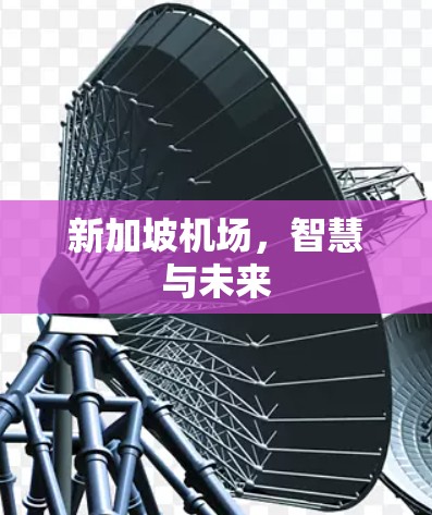 新加坡机场，智慧与未来