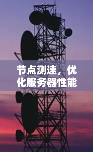节点测速，优化服务器性能的关键因素