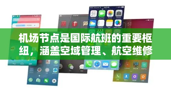 机场节点是国际航班的重要枢纽，涵盖空域管理、航空维修和国际航班等多种服务。以下是对这些节点的详细介绍