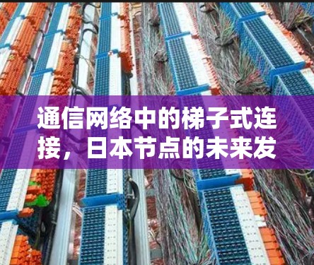 通信网络中的梯子式连接，日本节点的未来发展方向