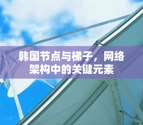 韩国节点与梯子,网络架构中的关键元素