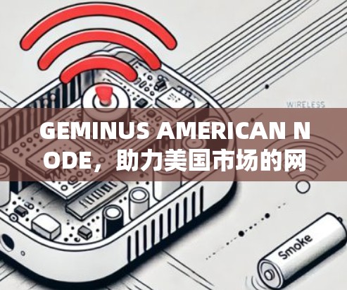 GEMINUS AMERICAN NODE，助力美国市场的网络基础设施