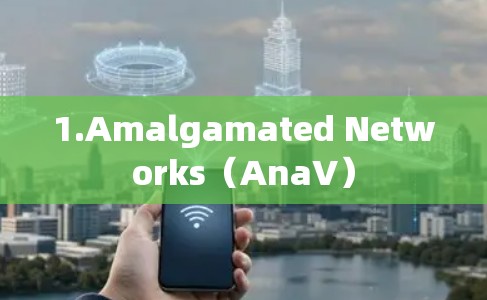 1.Amalgamated Networks（AnaV）
