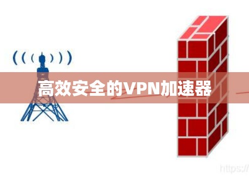 高效安全的VPN加速器