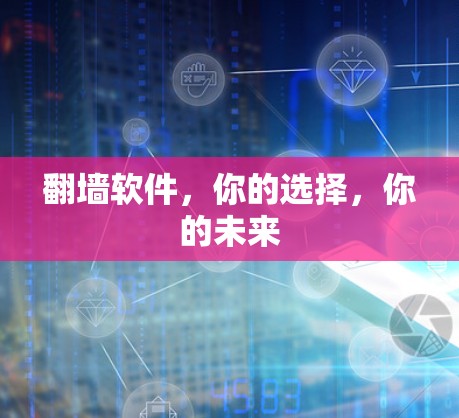 翻墙软件，你的选择，你的未来