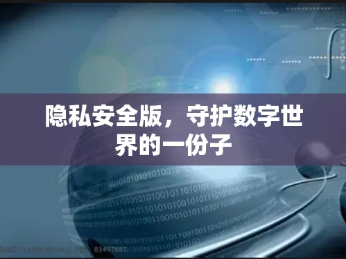 隐私安全版，守护数字世界的一份子
