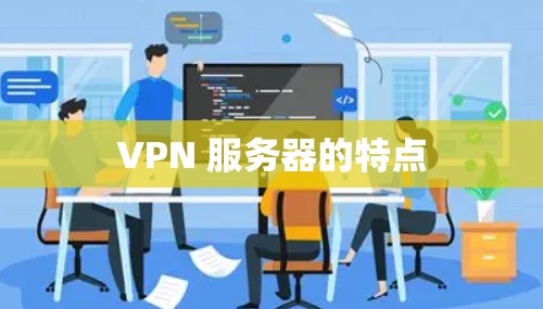 VPN 服务器的特点