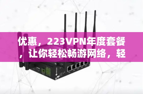 优惠,223VPN年度套餐,让你轻松畅游网络,轻松省心!