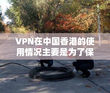 VPN在中国香港的使用情况主要是为了保障数据安全和隐私，保障用户在网络上的隐私权益。以下是关于VPN在香港的稳定节点的一些关键点