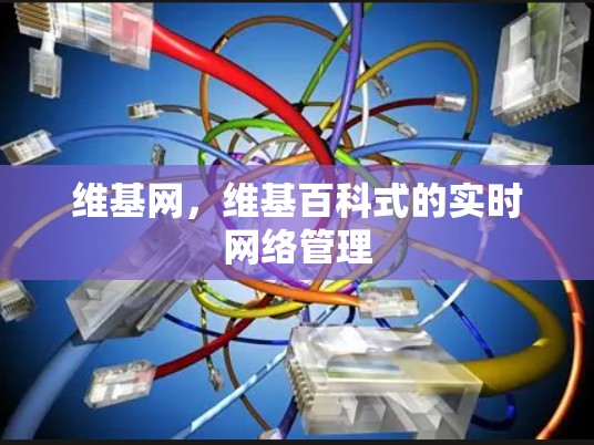 维基网，维基百科式的实时网络管理