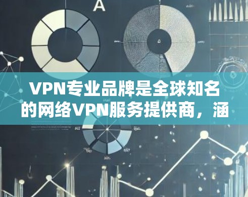 VPN专业品牌是全球知名的网络VPN服务提供商,涵盖了多种类型和服务模式,以下是几个主要的VPN品牌及其特点