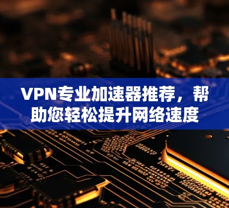 VPN专业加速器推荐,帮助您轻松提升网络速度