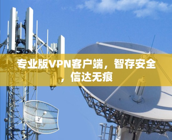 专业版<strong>VPN客户端</strong>,智存安全,信达无痕