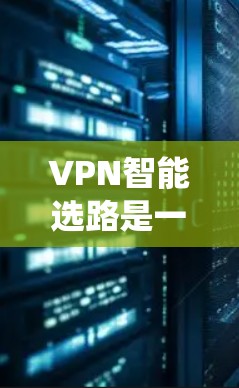 VPN智能选路是一种帮助用户选择最适合自己的VPN服务的系统,通过分析用户的需求、设备类型和使用习惯,推荐最合适的VPN。以下是该技术的详细解释