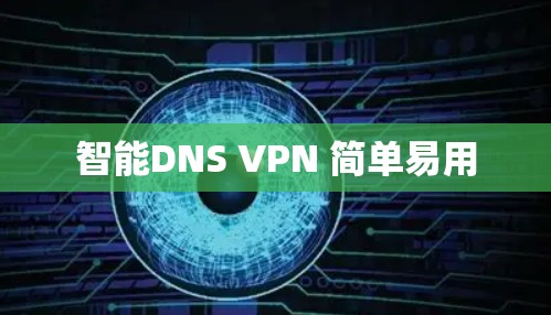 智能DNS VPN 简单易用
