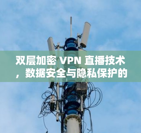 双层加密 VPN 直播技术，数据安全与隐私保护的完美结合
