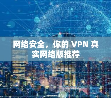 网络安全,你的 VPN 真实网络版推荐
