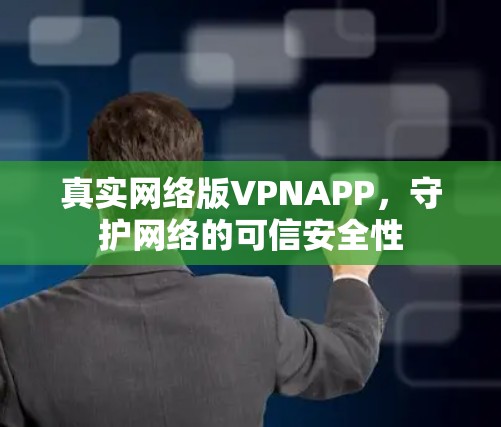 真实网络版VPNAPP，守护网络的可信安全性