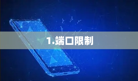 1.端口限制