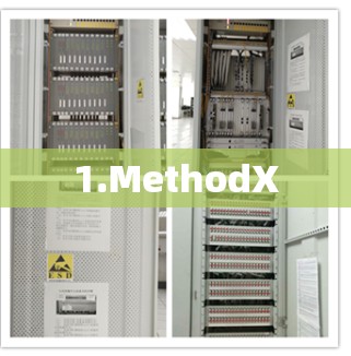 1.MethodX
