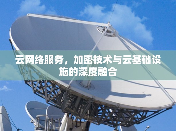 云网络服务，加密技术与云基础设施的深度融合