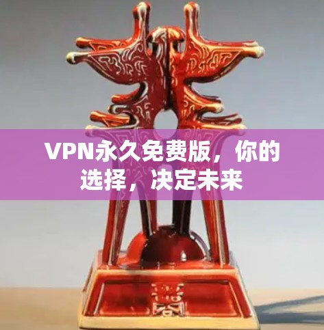 VPN永久免费版，你的选择，决定未来