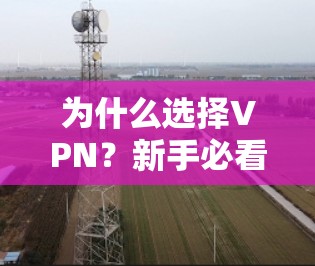 为什么选择VPN？新手必看指南