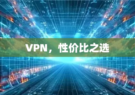 VPN，性价比之选