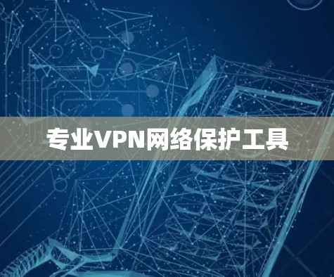 专业VPN网络保护工具