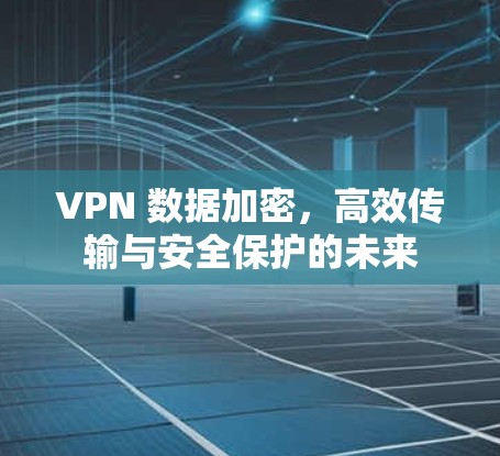 VPN 数据加密，高效传输与安全保护的未来