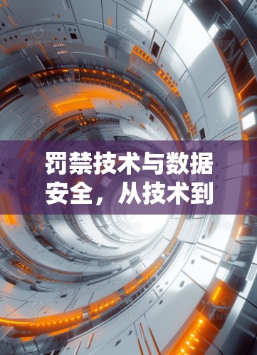 罚禁技术与数据安全,从技术到伦理的双刃剑