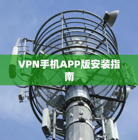 VPN手机APP版安装指南