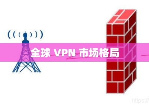 全球 VPN 市场格局