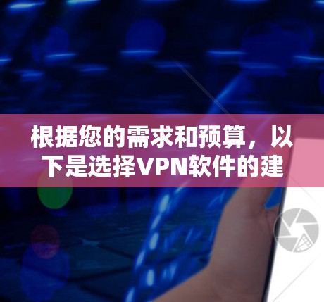 根据您的需求和预算，以下是选择VPN软件的建议