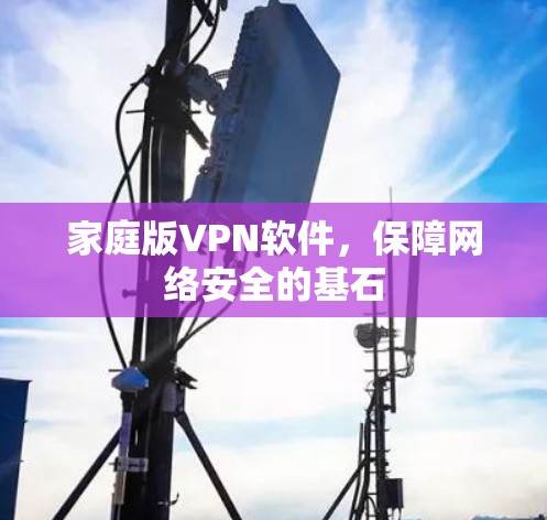 家庭版VPN软件,保障网络安全的基石