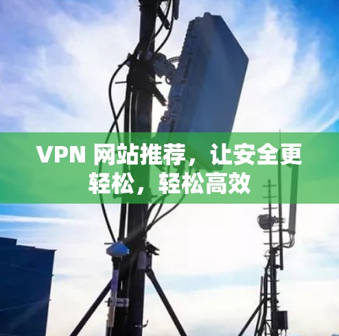 VPN 网站推荐，让安全更轻松，轻松高效
