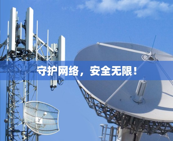 守护网络,安全无限!