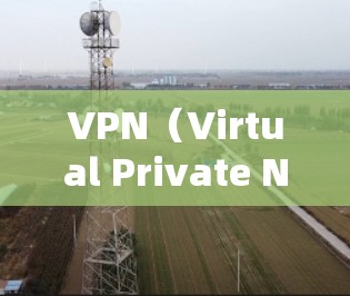 VPN（Virtual Private Network，VPN）是一项技术性的服务，旨在将外部网络接入到内部网络中，提供一种安全、私密的网络连接方式。以下是关于VPN的精选版本的详细介绍