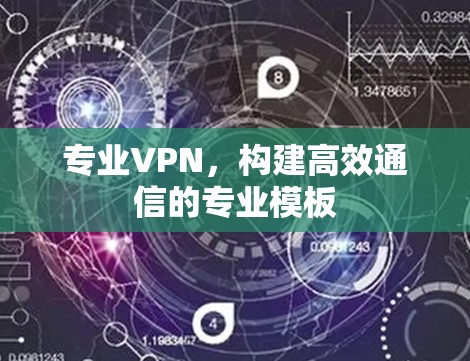 专业VPN，构建高效通信的专业模板