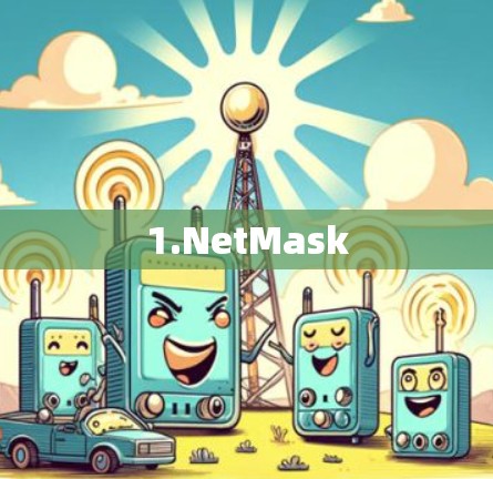 1.NetMask