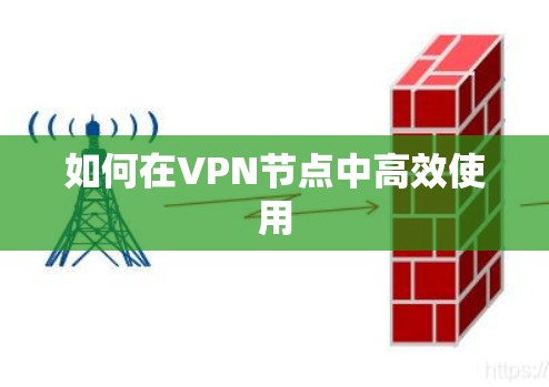 如何在VPN节点中高效使用