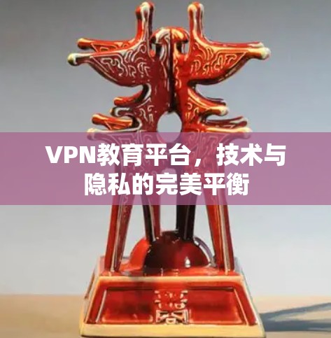 VPN教育平台，技术与隐私的完美平衡