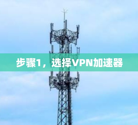 步骤1，选择VPN加速器