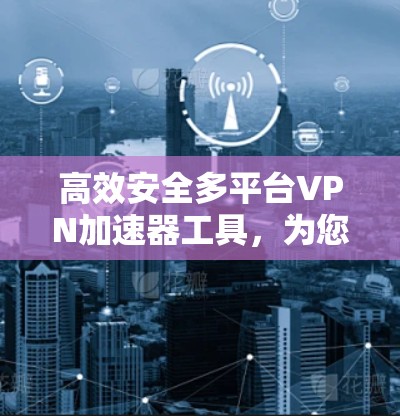高效安全多平台VPN加速器工具,为您的网络保驾护航