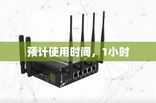 预计使用时间,1小时