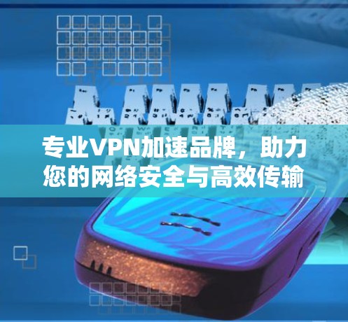 专业VPN加速品牌,助力您的网络安全与高效传输