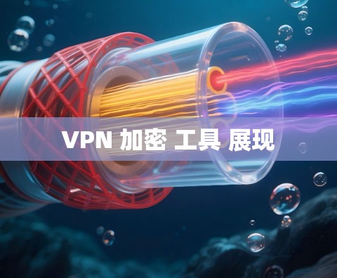 VPN 加密 工具 展现