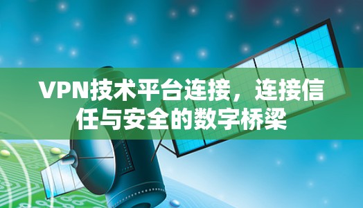 VPN技术平台连接,连接信任与安全的数字桥梁