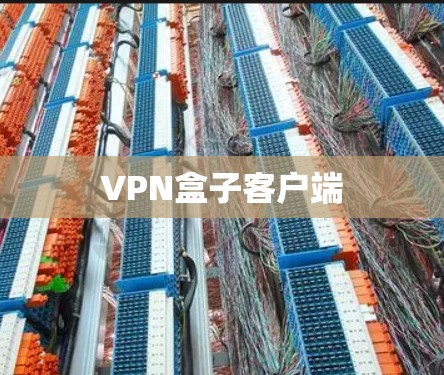 VPN盒子客户端